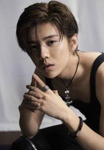 董子健综艺爆料鹿晗视频,董子健爆料鹿晗幕后故事  第3张